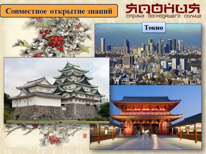 Совместное открытие знаний Токио